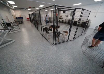 Pet Shelter Flooring Services by Specialty Coatings